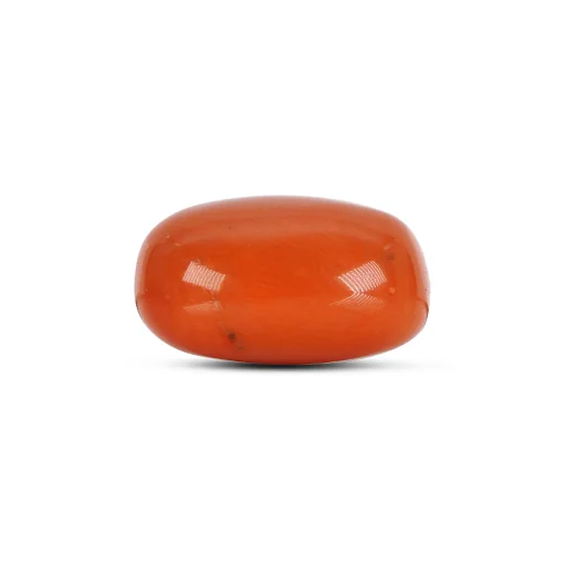 Red Coral GJ4781 — view 2