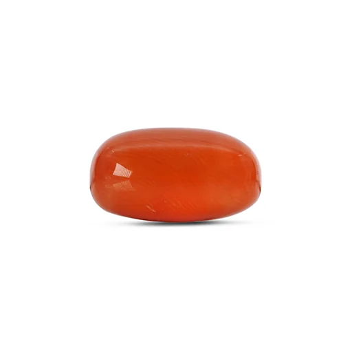 Red Coral GJ4779 — view 2