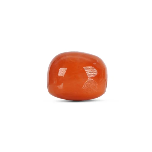 Red Coral GJ4784 — view 2