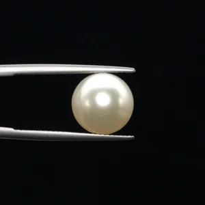 undefined 8.80ct from South Sea - GJ3600