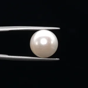 undefined 10.70ct from South Sea - GJ3598