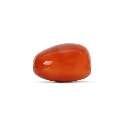 Red Coral GJ4787 — view 2