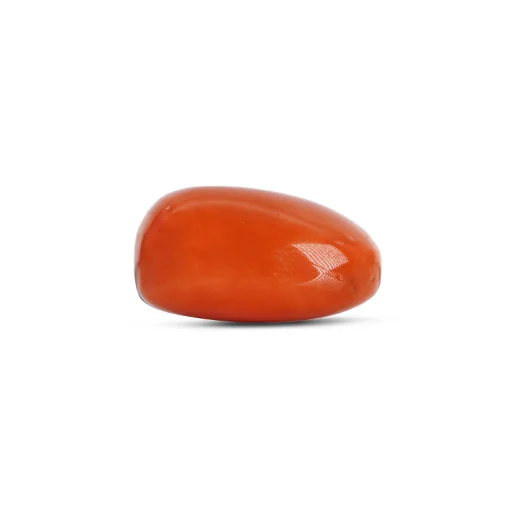 Red Coral GJ4782 — view 2