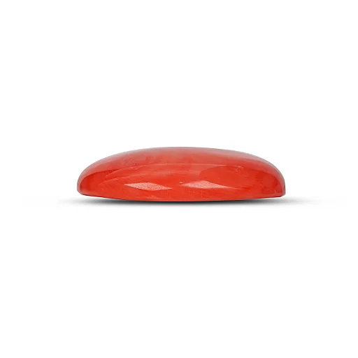 Red Coral GJ5117 — view 2