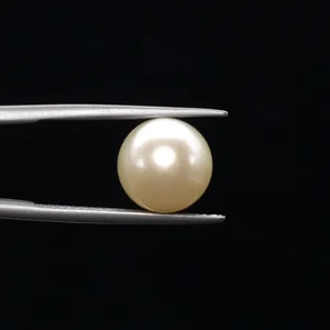 undefined 8.14ct from South Sea - GJ3619