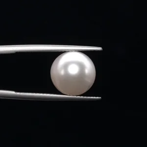 undefined 9.23ct from South Sea - GJ3607
