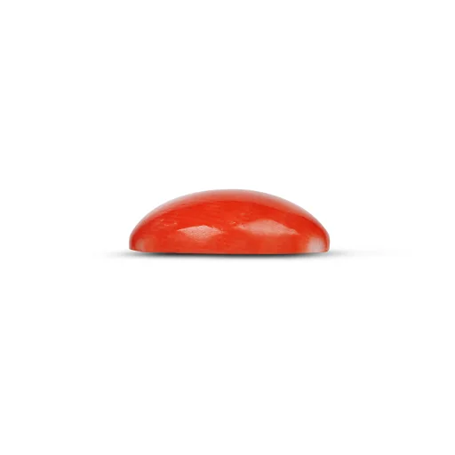 Red Coral GJ5116 — view 2