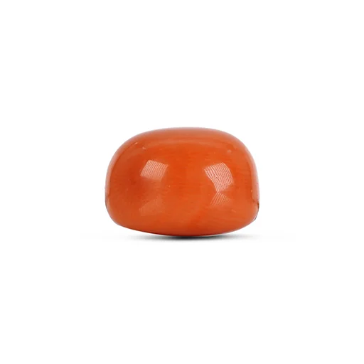 Red Coral GJ4783 — view 2