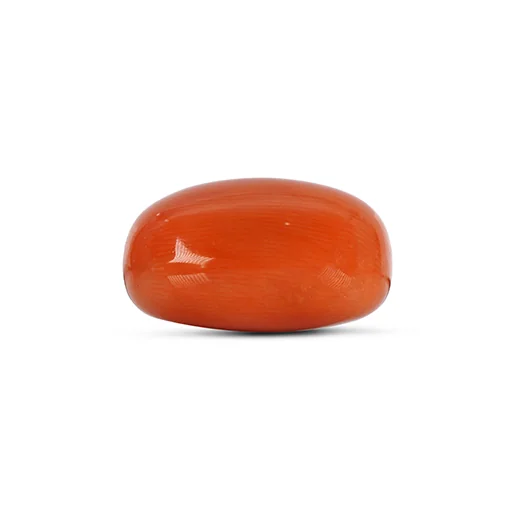 Red Coral GJ4780 — view 2