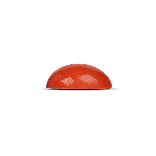 Red Coral GJ5115 — view 2