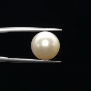 undefined 9.93ct from South Sea - GJ3615